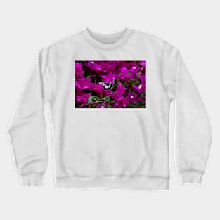 Dingy Swallowtail Crewneck Sweatshirt